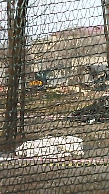 Реконструкция восточной части городского парка ДОРА