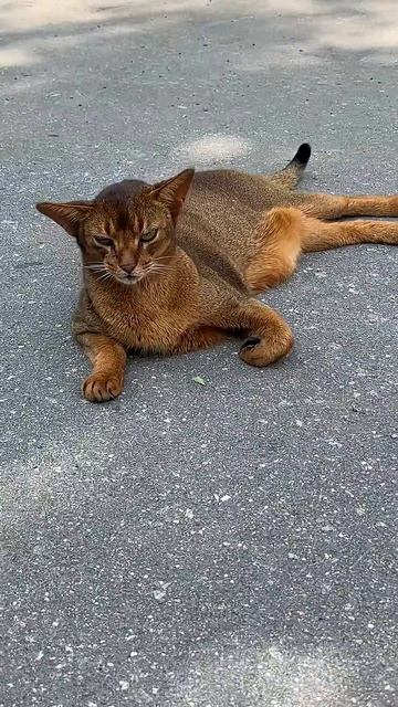 Делайте выводы