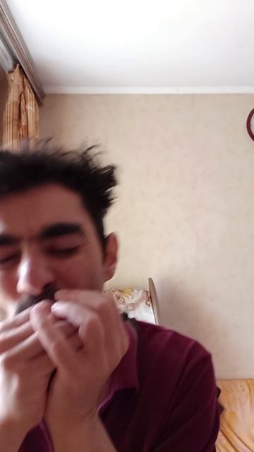 Импровизация на губной гармошке в стиле чикагского блюза #stratocastro