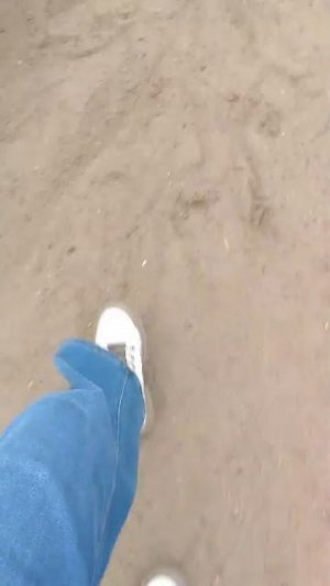 Полоса препятствий