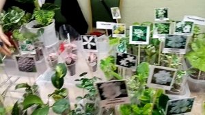 Выставка в Анапе 5 апреля. Часть 1.