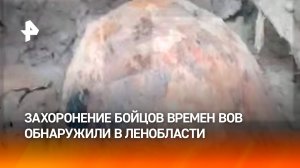 Останки 30 бойцов, погибших в годы Великой Отечественной войны, обнаружили в Ленобласти