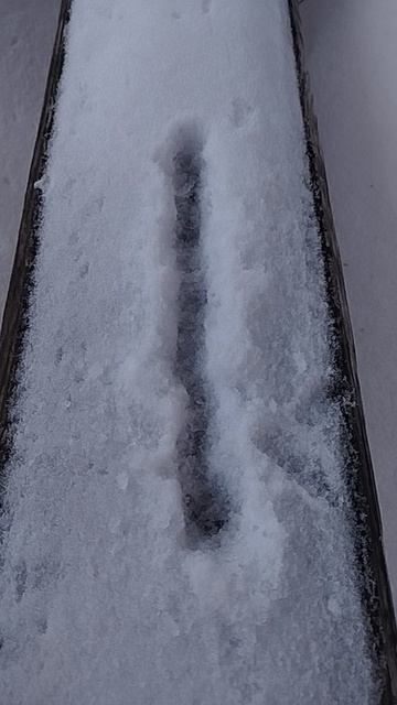 Руна Иса | — Руна Кано ﹤