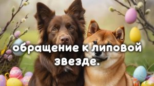 обращение к липовой звезде.