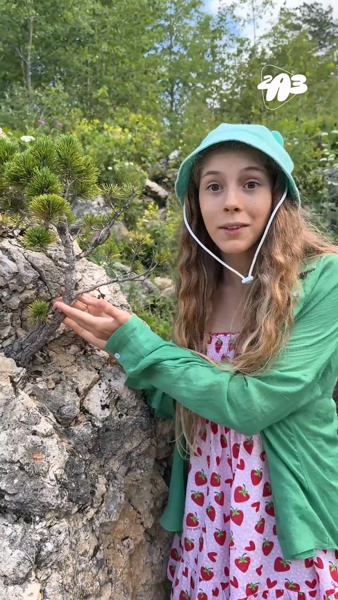 🌳 Это ДЕРЕВО способно РАЗОРВАТЬ вас НАПОПОЛАМ?!