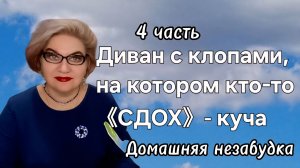 4 часть. Диван 🛋 с клопами ,на котором кто-то 《СДОХ》- куча 😡❗️