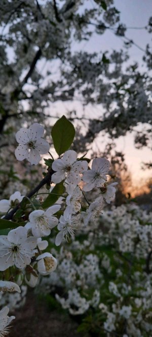 приветик🎀