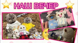 ВЕЧЕР С БАСИКАМИ | Как я укладываю Басиков спать