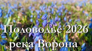 Половодье Ворона 2026