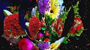 С Днём Рождения! Поздравление из Сказочного Леса 8 от Киностудии Мудрого Кота Тимофея!