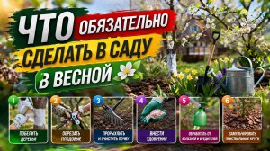 ЧТО ОБЯЗАТЕЛЬНО СДЕЛАТЬ В САДУ В ВЕСНОЙ