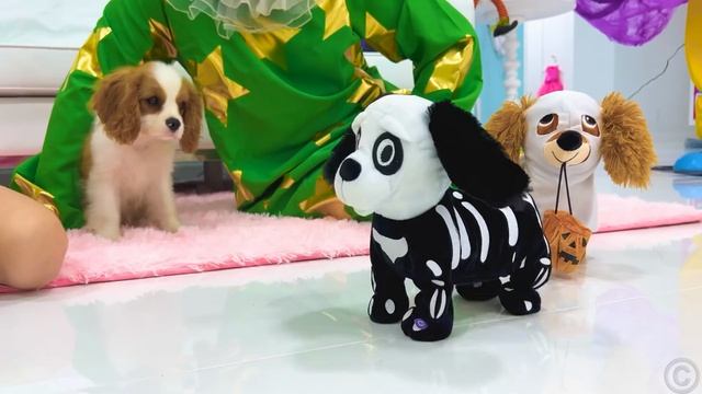 Настя и папа устроили шопинг на Хэллоуин