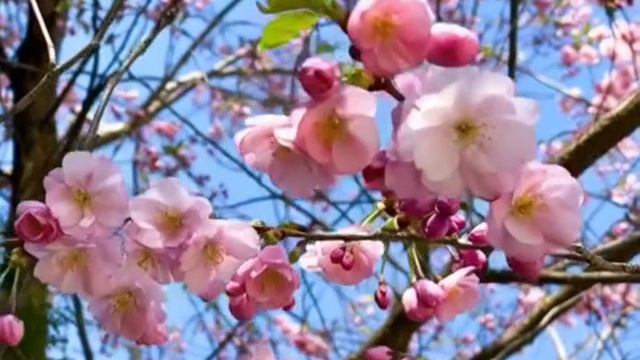 Давайте не будем грустить!!!!