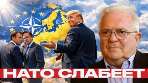 НАТО трещит; готова ли Европа платить сама - Чез Фриман
