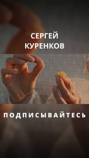 Сергей Куренков - Девочка весна