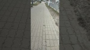 VID_20260408_113927.mp4