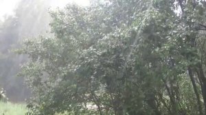 Оркестр дождя (песня)