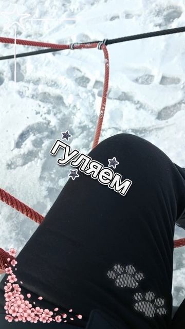 гуляем пропала из учебы😭