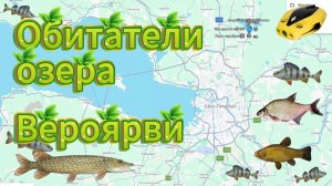 4 дня под льдом озера Вероярви — циклопы, водяные ослики, окуни, щуки и аномалии температур