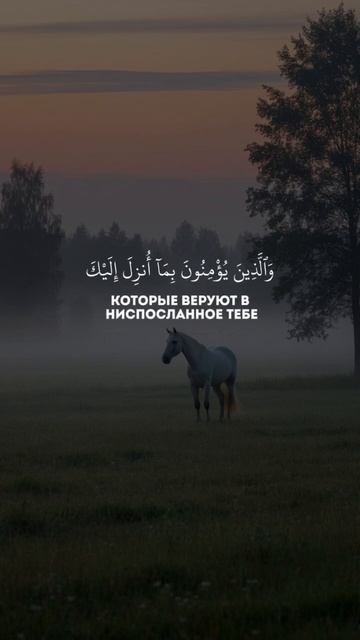 Махди аш-Шишани. Сура 2 Аль-Бакара аяты 1-5