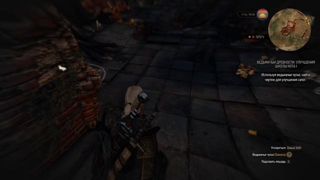 The Witcher 3 прохождение ч25
