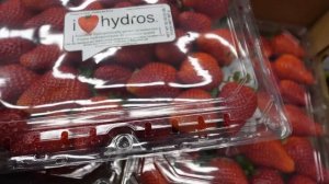 ЗАКУПКА В COSTCO 2026 🛒 Сколько стоит еда в Канаде_ Наши цены и чек 🥩(Happy Family in CANADA)