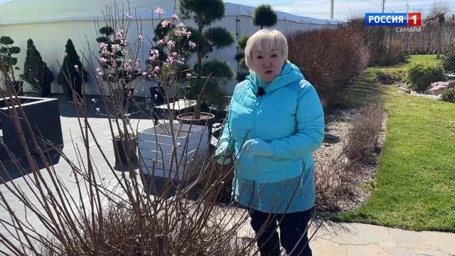 Гортензии ОКС в Питомнике и Садовом центре Веры Глуховой!