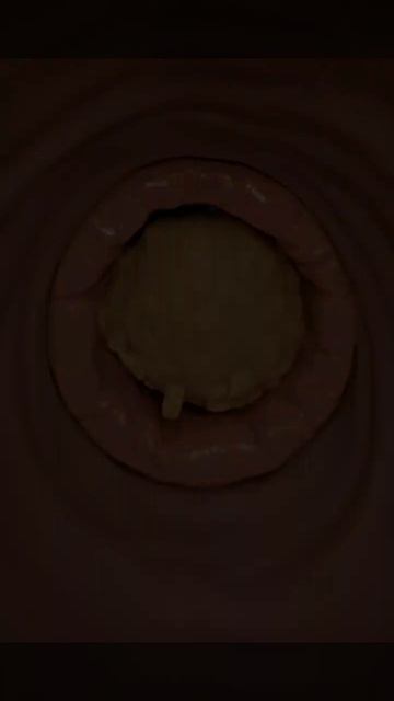 путь пищи в организме 1часть.mp4