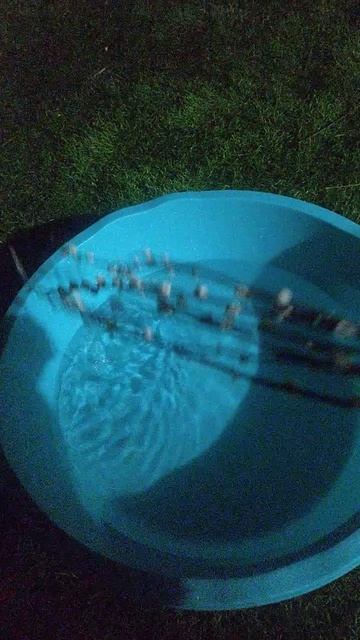 От причины, от кручины👌