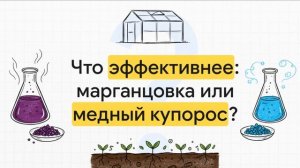 Нейросеть против мха в теплице: Итоговое видео и четкий план действий