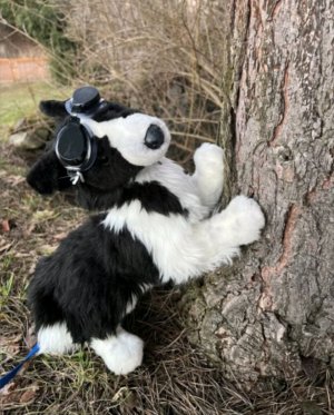 ребята раскрываю всю правду про липовую дуру 🤣🤣🤣( трансляция)