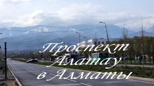 Утренняя прогулка по проспекту Алатау в Алматы. 05.04.2026