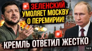 ЗЕЛЕНСКИЙ УМОЛЯЕТ МОСКВУ О ПЕРЕМИРИИ! КРЕМЛЬ ОТВЕТИЛ ЖЕСТКО