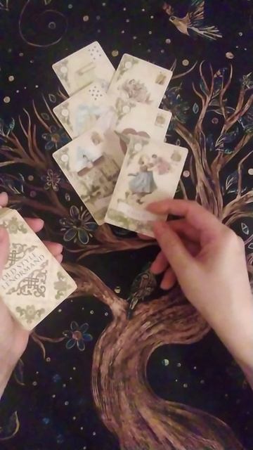 Тайна скоро откроется