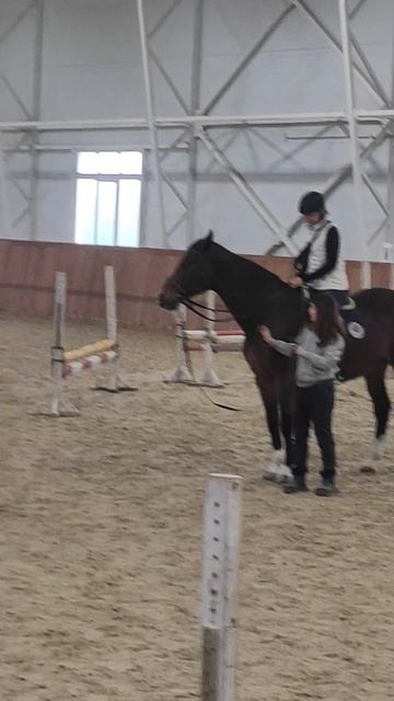 К нам приходят всей семьёй! Отдых и верховая езда для всех членов семьи