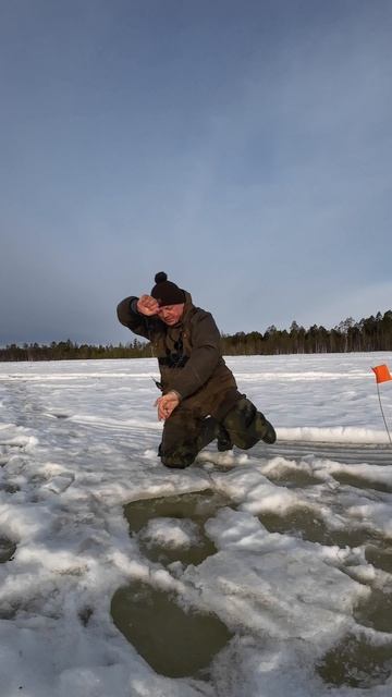 Проверил жерлицы