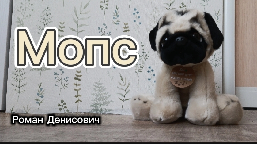 Мопс (официальный клип)