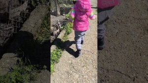 Ребенок морж