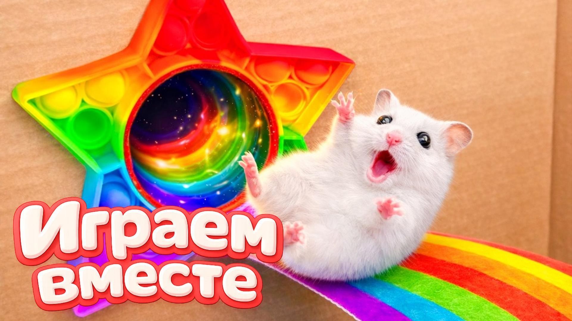 ХОМЯК ВЫБИРАЕТСЯ ИЗ СЕКРЕТНОЙ ХОМЯЧЕЙ ТЮРЬМЫ 🐹 Играем ВМЕСТЕ 🐹 Помогаем выбраться из лабиринта 2