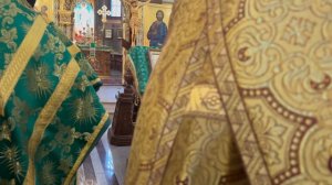 Вход Господень в Иерусалим. Лития.