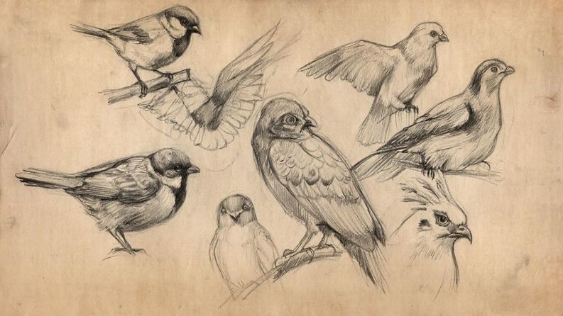 День анимации. Такое утро