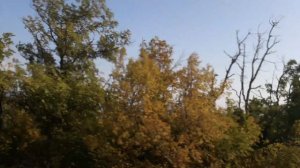 Экскурсия ребят в Новороссийск. Дорога домой над Чёрным морем, в детский лагерь, на автобусе.