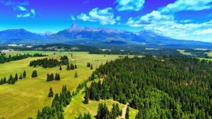 Incredibly 16K Nature OLED Demo   Dolby Vision   8K HDR 120fps   Stress Relief Music