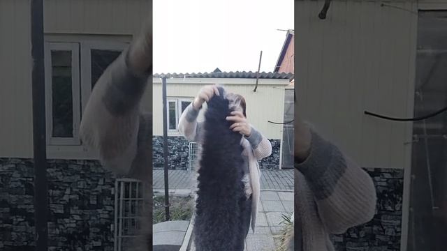 8апреля 2026 г.Пуховые платки и изделия из пуха и шерсти от Светланы