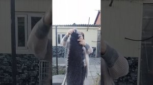 8апреля 2026 г.Пуховые платки и изделия из пуха и шерсти от Светланы