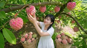 Сбор яблок сорта «Заварное» Форма, как у головы Будды, и вкус, как у мёда. Идеальный день на ферме.