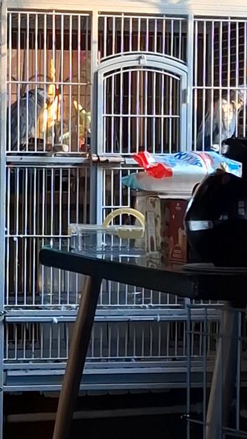 А ВЫ  ГДЕ  ...?🙃🤩😘