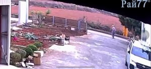 Мотоциклист сбил оленя