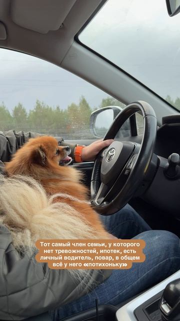 🐶🤌