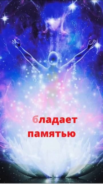 2026-04-04-083053301